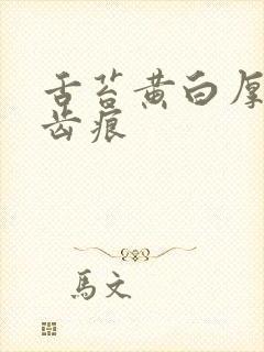 舌苔黄白厚腻有齿痕封面