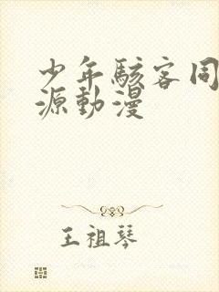 少年骇客同人资源动漫