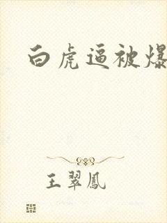 白虎逼被爆操