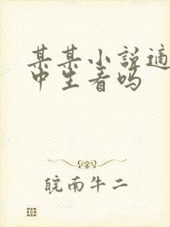 某某小说适合初中生看吗