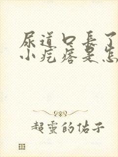 尿道口长了一个小疙瘩是怎么回事