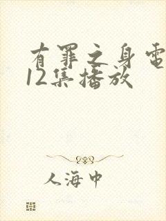 有罪之身电视剧12集播放封面