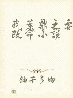 我叶鼎之要逆天改命小说