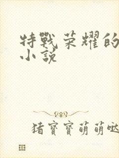 特战荣耀的原著小说封面