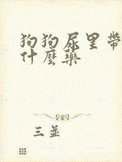 狗狗尿里带血吃什么药封面