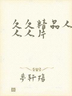 久久精品人人爽人人片