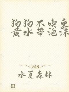 狗狗不吃东西吐黄水带泡沫封面