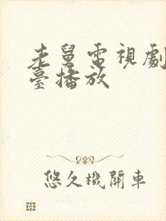 老舅电视剧哪个台播放封面