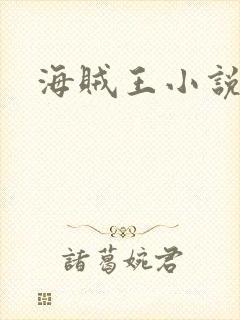 海贼王小说推荐封面