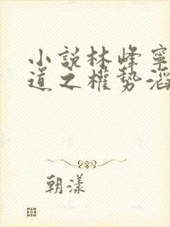 小说林峰宁欣官道之权势滔天