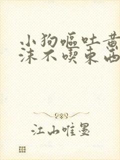 小狗呕吐黄水泡沫不吃东西