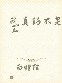 我真的不是大魔王封面