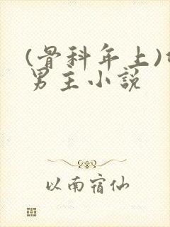 (骨科年上)双男主小说封面