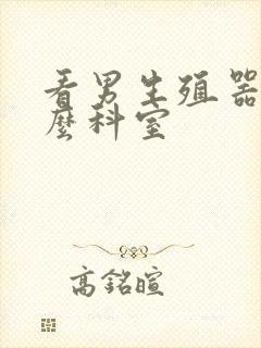 看男生殖器挂什么科室