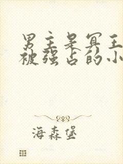 男主是冥王女主被强占的小说封面