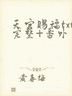 天官赐福txt完整+番外 txt下载