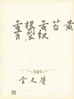 舌根舌苔黄厚腻有裂纹封面