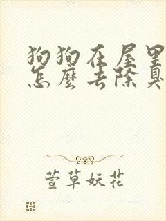 狗狗在屋里拉尿怎么去除臭味