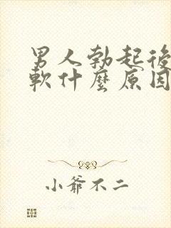 男人勃起后容易软什么原因