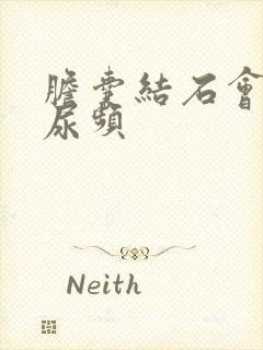 胆囊结石会导致尿频