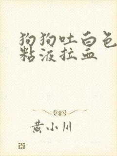 狗狗吐白色泡沫粘液拉血