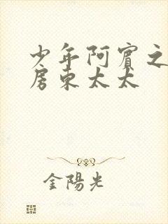 少年阿宾之美艳房东太太