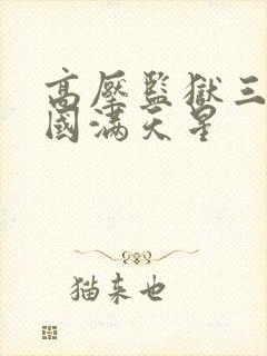 高压监狱三部法国满天星封面