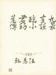 叶君临有九个师傅的小说最新章节