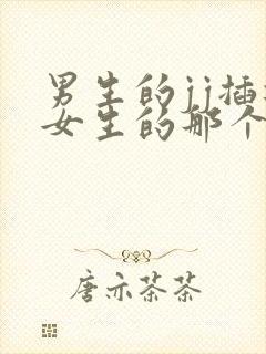 男生的jj插进女生的那个视频