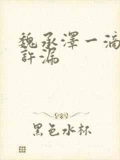 魏承泽一滴都不许漏封面