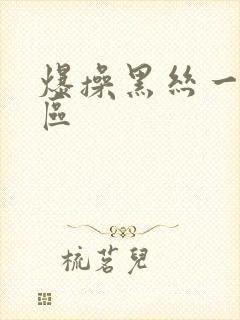 爆操黑丝一区二区