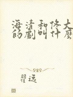 海清和佟大为演的剧叫什么