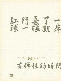 肛门长了一个肉球一碰就疼