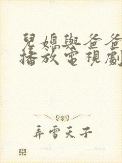 儿媳与爸爸免费播放电视剧全集在线观看