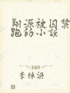 翔源被囚禁后逃跑的小说