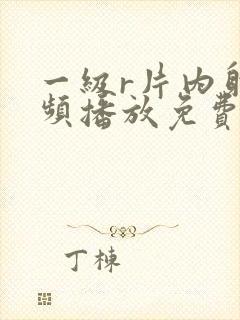 一级r片内射视频播放免费