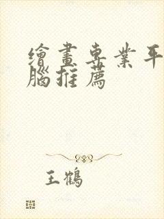 绘画专业平板电脑推荐