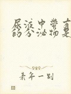 尿液中带有白色的分泌物是怎么回事