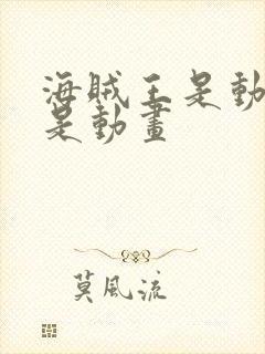 海贼王是动漫还是动画