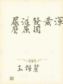 尿液发黄浑浊什么原因