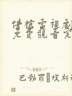 借枪电视剧全集免费观看完整版封面