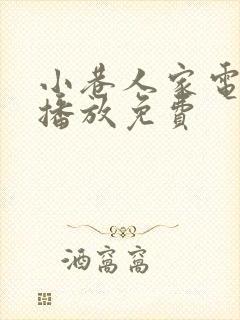 小巷人家电视剧播放免费封面