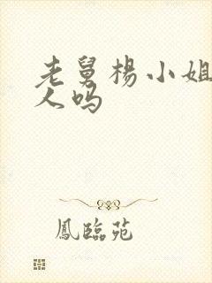 老舅杨小姐是坏人吗