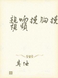 亲吻摸胸摸下边视频封面