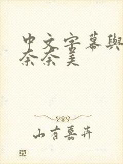 中文字幕与公岬奈奈美