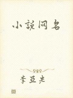 小说网名