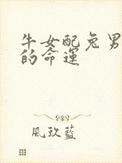 牛女配兔男一生的命运