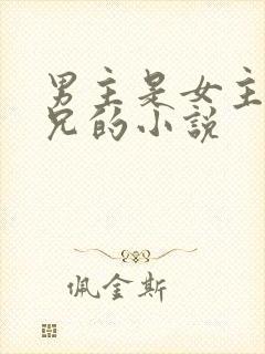 男主是女主的继兄的小说