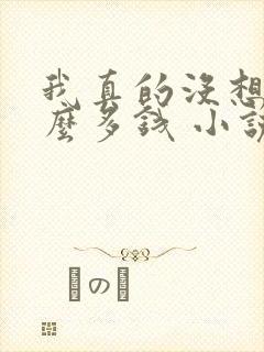 我真的没想赚那么多钱 小说