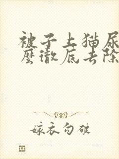 被子上猫尿味怎么彻底去除